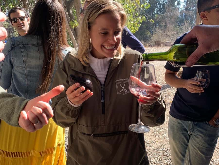 Santiago: Maipo Valley Wine Tasting Tour with 4 Vineyards - Why Maipo Valley works as a day trip from Santiago