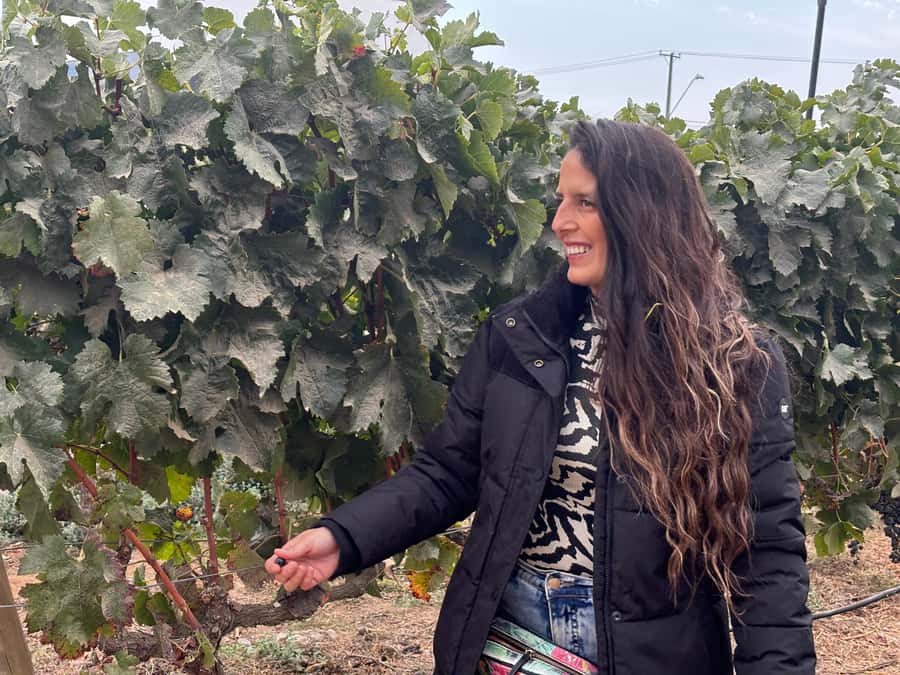 Santiago: Maipo Valley Wine Tasting Tour with 4 Vineyards - Campo La Quirinca: the most personal first stop