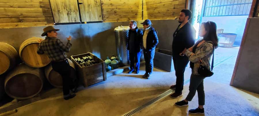 Santiago: Maipo Valley Wine Tasting Tour with 4 Vineyards - Undurraga: the grand finale with a more commercial feel