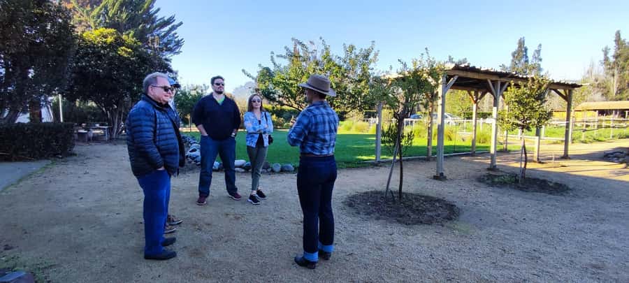 Santiago: Maipo Valley Wine Tasting Tour with 4 Vineyards - How much wine will you taste?