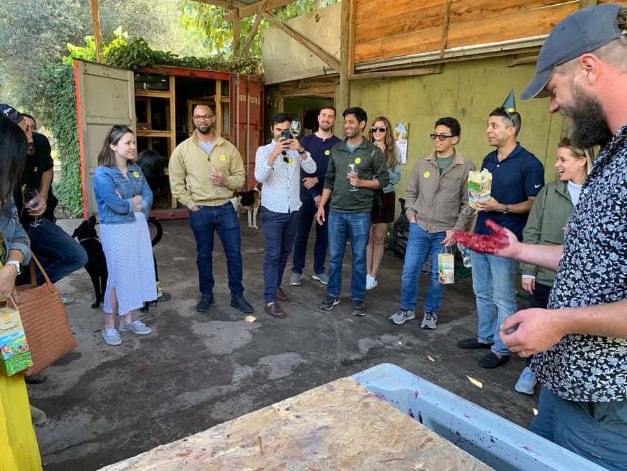Santiago: Maipo Valley Wine Tasting Tour with 4 Vineyards - Is $134 a fair price?