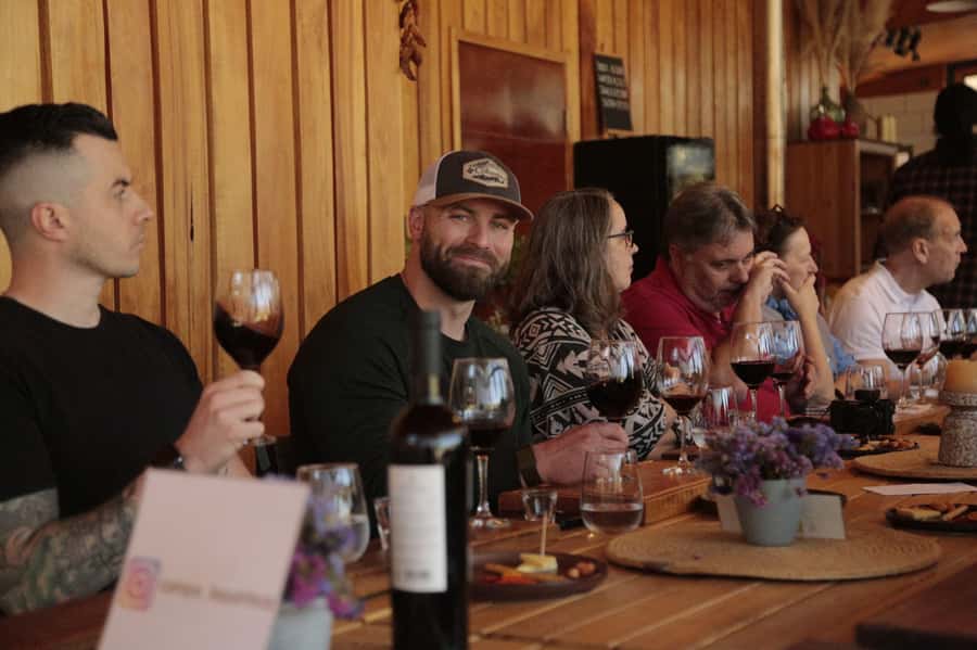 Santiago: Maipo Valley Wine Tasting Tour with 4 Vineyards - Who should book this Maipo Valley tour?