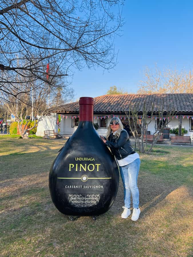Santiago: Undurraga Winery Tour with Entry and Wine Tasting - Key points at a glance