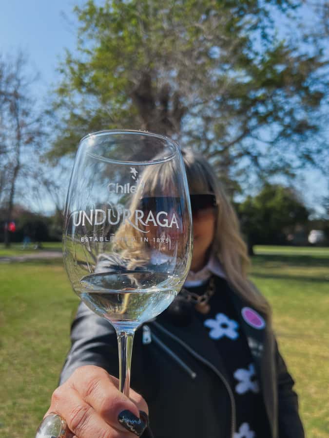Santiago: Undurraga Winery Tour with Entry and Wine Tasting - Walking through the Undurraga gardens