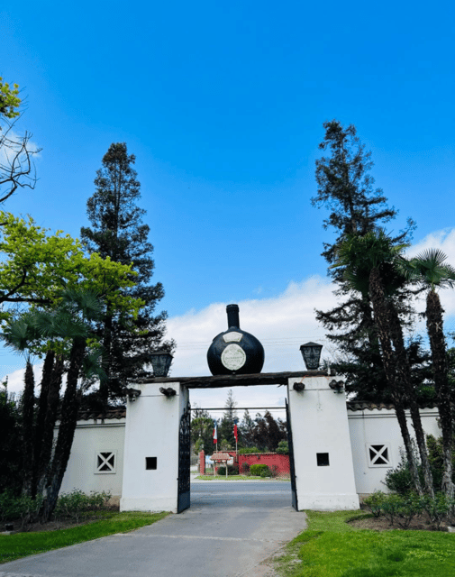 Santiago: Undurraga Winery Tour with Entry and Wine Tasting - Thirty minutes in the wine shop