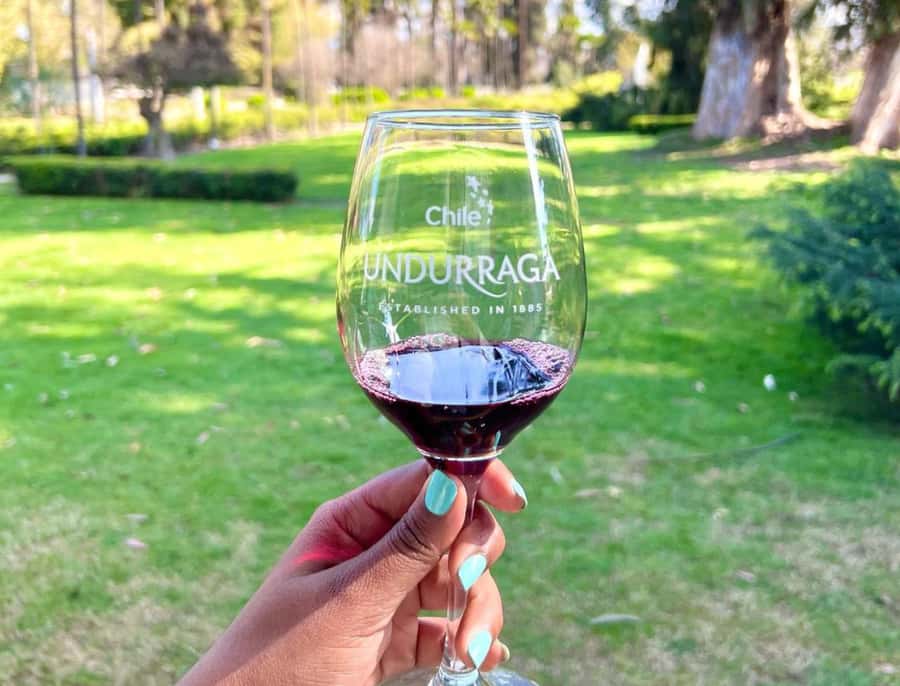 Santiago: Undurraga Winery Tour with Entry and Wine Tasting - Who will enjoy this outing most?