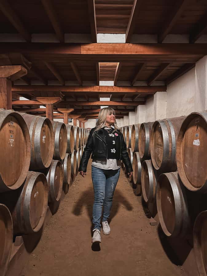 Santiago: Undurraga Winery Tour with Entry and Wine Tasting - The 40-minute trip from Santiago