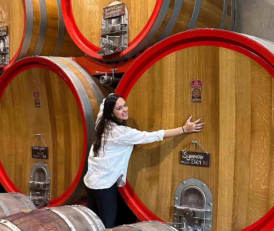 Santiago: World-class Wines, Visit to 4 Vineyards and Tanino - Key points at a glance