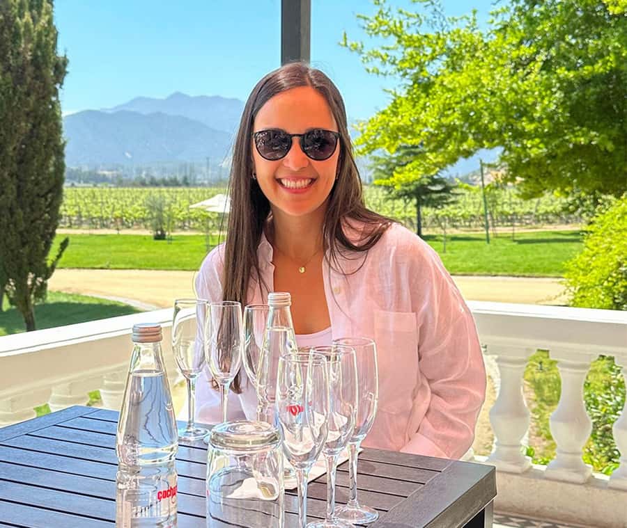 Santiago: World-class Wines, Visit to 4 Vineyards and Tanino - From Santiago to the cool vineyards of Casablanca Valley