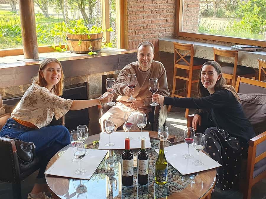 Santiago: World-class Wines, Visit to 4 Vineyards and Tanino - Viñamar for sparkling and still wines