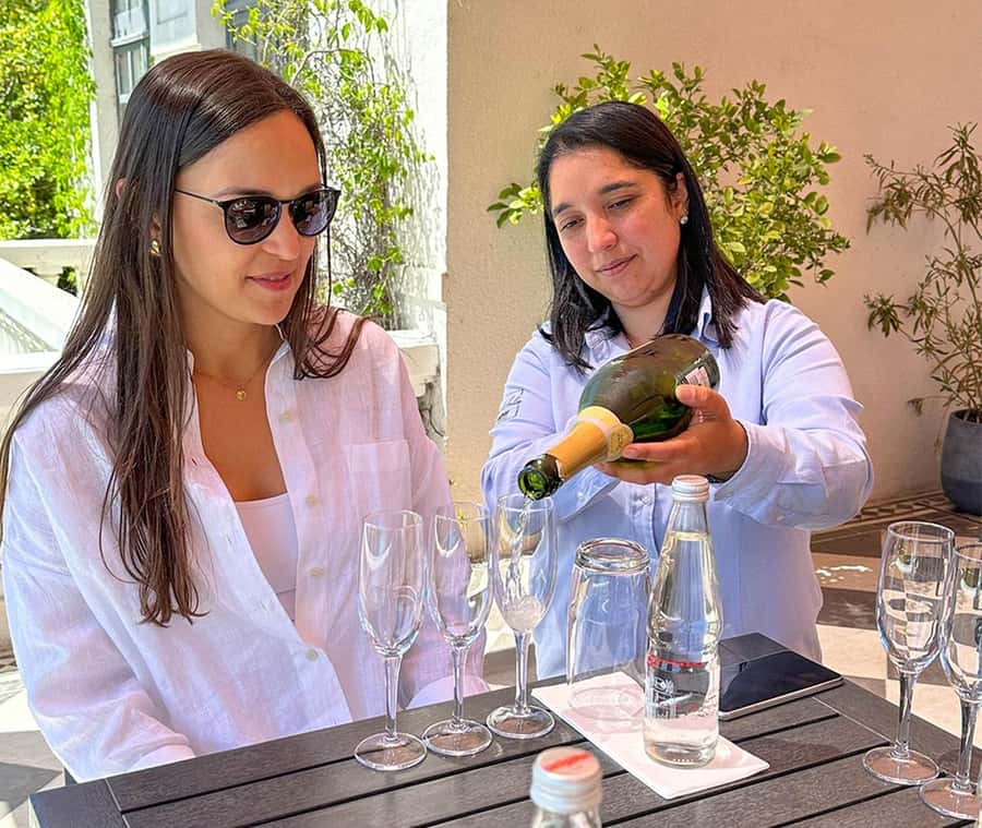Santiago: World-class Wines, Visit to 4 Vineyards and Tanino - What $149 buys you