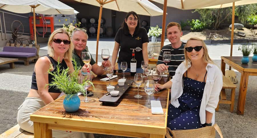 Santiago: World-class Wines, Visit to 4 Vineyards and Tanino - Group size, languages, and accessibility
