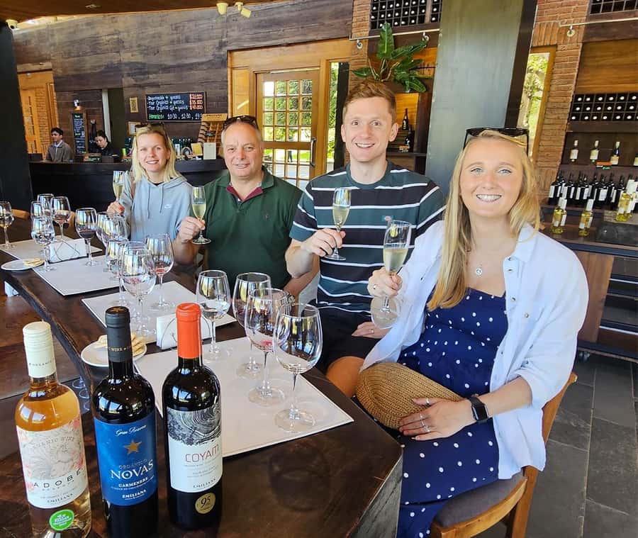 Santiago: World-class Wines, Visit to 4 Vineyards and Tanino - Timing, food, and what to bring