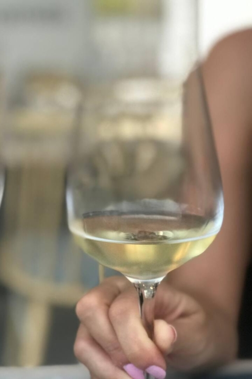 Santorini Fun Wine tour-Visit 2 Wineries-transfers included - Key points at a glance