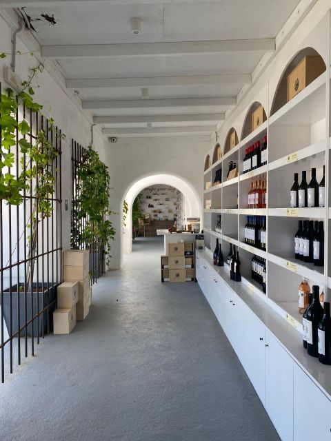 Santorini Fun Wine tour-Visit 2 Wineries-transfers included - Who should book this wine tour?