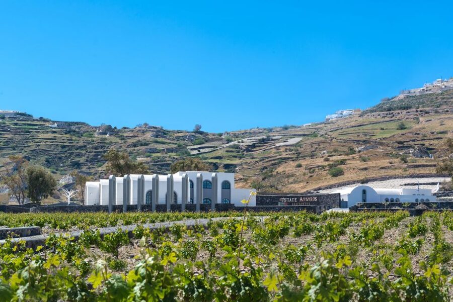 Santorini: Guided Wineries Private Tour with Wine Tastings - Estate Argyros: a modern finish with Assyrtiko