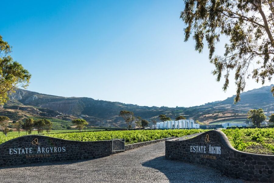 Santorini: Guided Wineries Private Tour with Wine Tastings - Private transport and the island drive