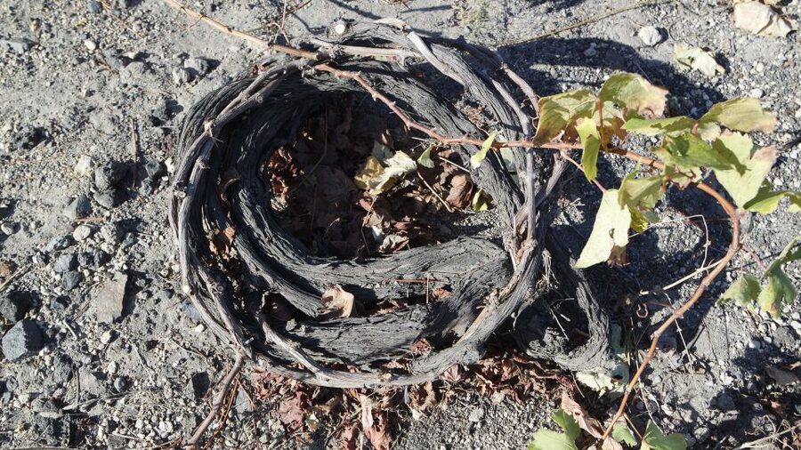 Santorini: Small Group Tour of 3 Local Wineries - What volcanic soil and local grapes add to the tasting