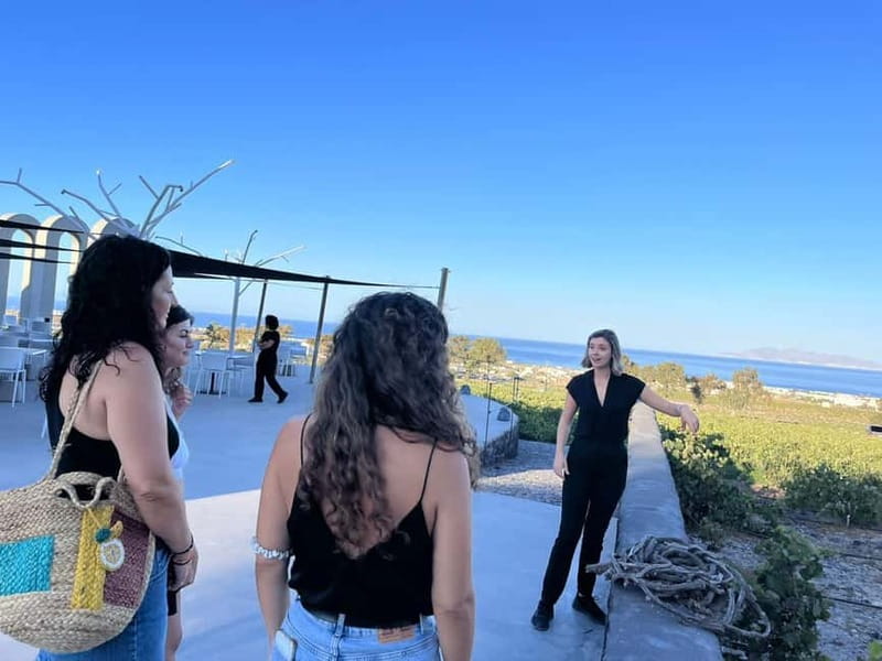 Santorini: Small Group Tour of 3 Local Wineries - Food matters more than it may seem