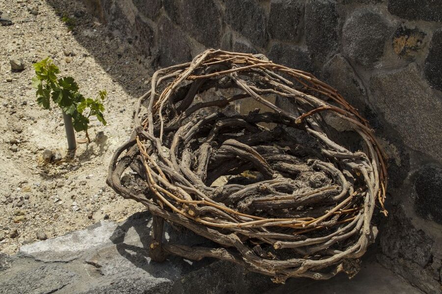 Santorini: Three Wineries and One Brewery Tour with Tastings - Estate Argyros gives the tour its technical center