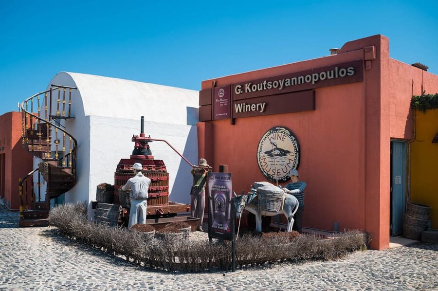 Santorini Wine Tasting and Vineyard Tour - Who will get the most from this tour?
