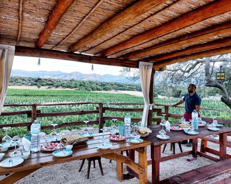 Sardinia: Dorgali Winery Tour with Tasting and Local Guide - A family winery in the Dorgali countryside