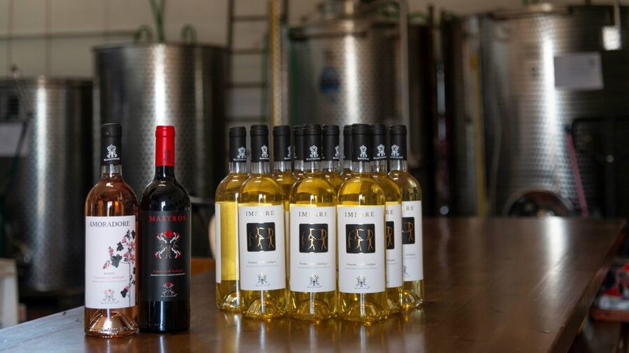 Sardinia: Dorgali Winery Tour with Tasting and Local Guide - The food is a major part of the experience