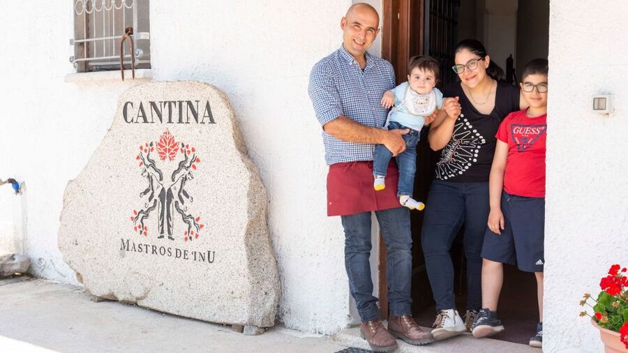 Sardinia: Dorgali Winery Tour with Tasting and Local Guide - A personal welcome from the winery owners
