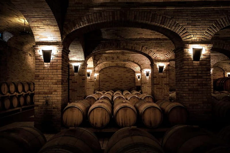 Sardinia: Winery Tour and Wine Tasting Experience - Starting among the vines near Cagliari
