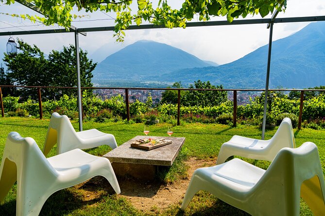 Savor Ossola Wines & Local Treats in a Scenic Vineyard - Three Ossola wines, not a rushed sample