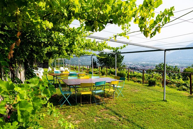 Savor Ossola Wines & Local Treats in a Scenic Vineyard - Is the $39.65 price good value?