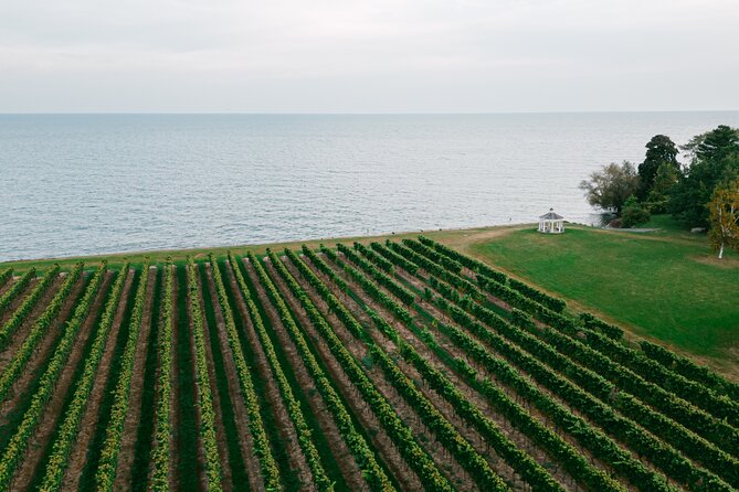Seated Tasting Experience at Konzelmann Winery - What happens during the 45-minute visit
