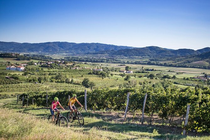 Secret vineyards E-bike tour - Key points to know before you book