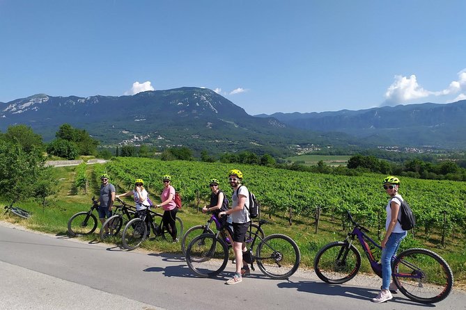 Secret vineyards E-bike tour - Bike support and what happens if something goes wrong
