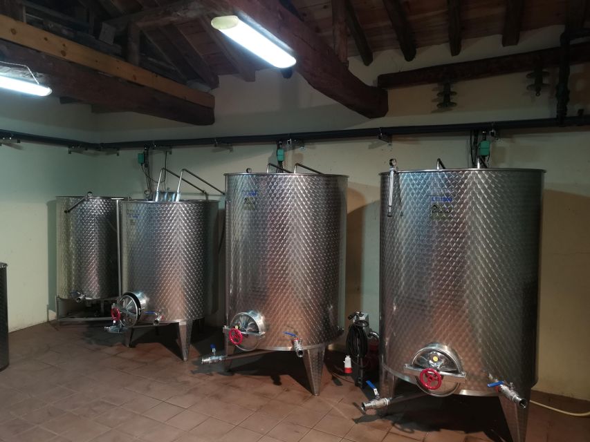 Segovia: Winery Tour with Wine Tasting - Why this small winery visit feels different