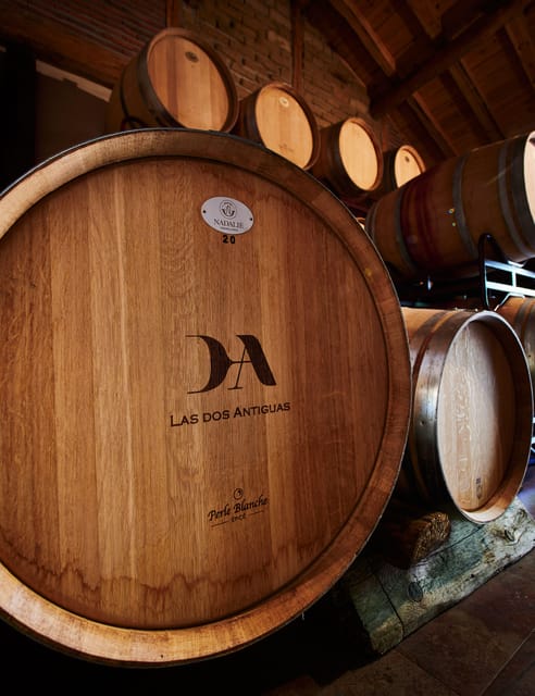 Segovia: Winery Tour with Wine Tasting - The one-hour guided visit inside the cellar