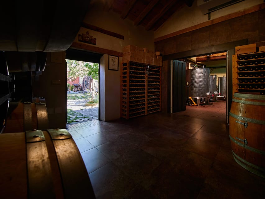 Segovia: Winery Tour with Wine Tasting - Three wines and a local appetizer in the patio
