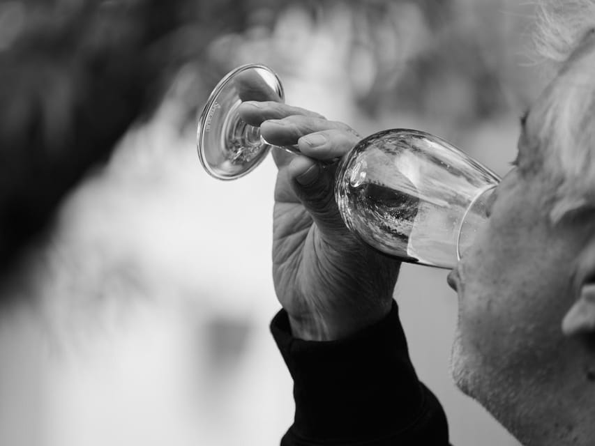 Segovia: Winery Tour with Wine Tasting - Who will get the most from this visit