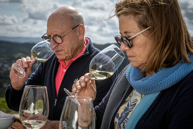 Selection Tasting | Quinta de Santa Cristina Vinho Verde - Key points to know before booking