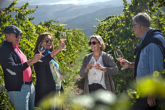 Selection Tasting | Quinta de Santa Cristina Vinho Verde - Walking the vines around Celorico de Basto