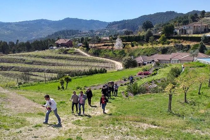 Selection Tasting | Quinta de Santa Cristina Vinho Verde - A good option for families with young children