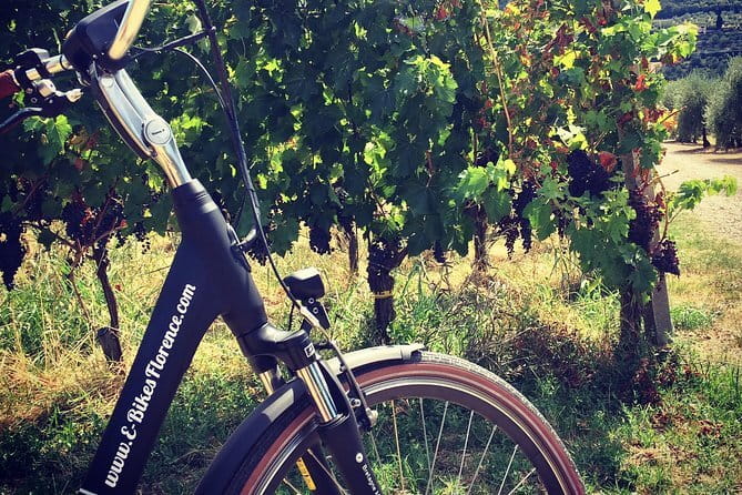 Semi-Private Chianti Wine Tour with Dinner in Tuscany Vineyard - Dinner among the vines, with a weather backup