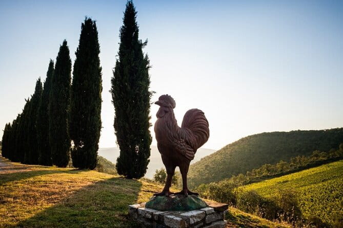 Semi-Private Chianti Wine Tour with Dinner in Tuscany Vineyard - Who will get the most from this tour?