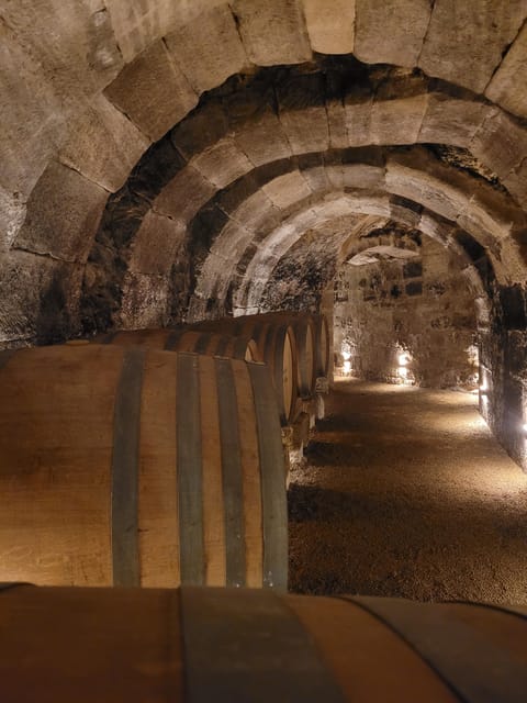 Semi-Private La Rioja Tour of 3 Premium Wineries from Bilbao - Frank Gehry’s Hotel Marqués de Riscal changes the scenery