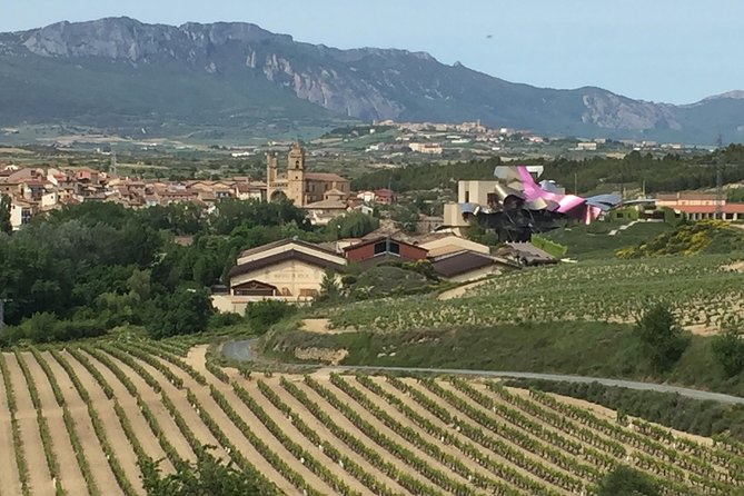 Semi-Private Rioja Tour of 3 Premium Wineries from Bilbao - Laguardia, a 10th-Century Hilltop Stop