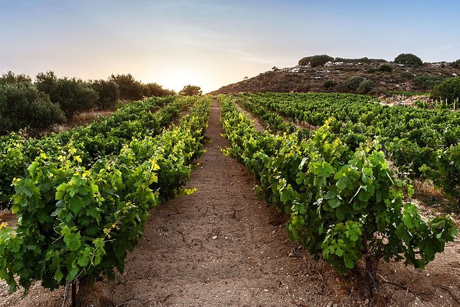 Semi Private Wine Tour of 2 wineries with Transfer and Lunch - Titakis Wines and the Fabrika Wine Experience