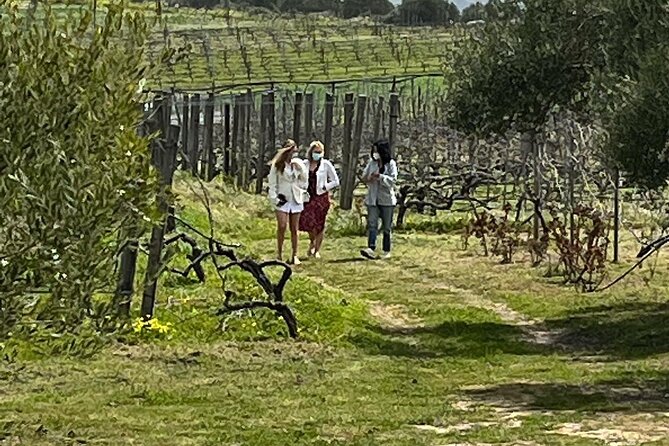 Semi-Private Wine Tour of 2 wineries with wine Tastings - Two wineries, ten Cretan wines, one useful introduction