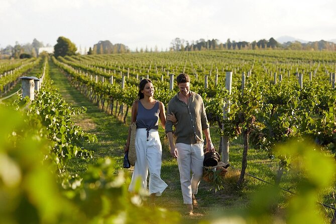Semi-Private Wine Tour of 2 wineries with wine Tastings - Alagni and a short look into the past