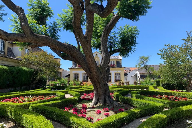 Setúbal Wine Tour with Visit and Tasting at 2 Wineries - Leaving Lisbon for the Setúbal wine region