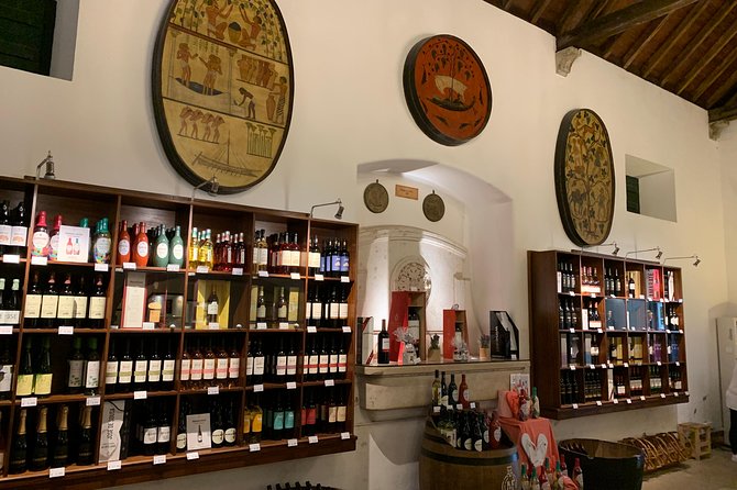 Setúbal Wine Tour with Visit and Tasting at 2 Wineries - The alternative stops: Adega de Palmela and Farm Catralvos